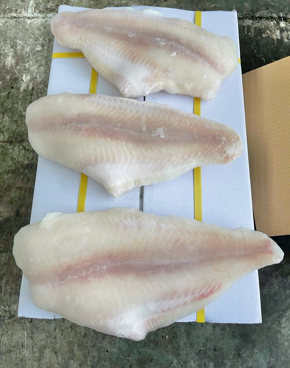 Cá basa fillet